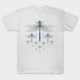 Dragonflies in formation! T-Shirt